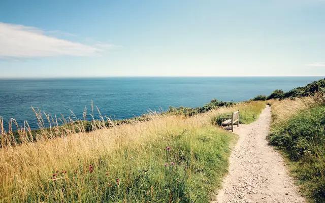 Coastal footpath through tall grass toward the open sea