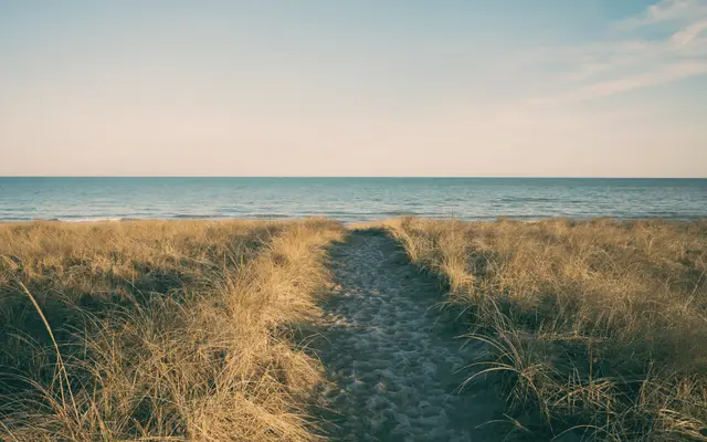 Sandy path through dune grass leading to the ocean